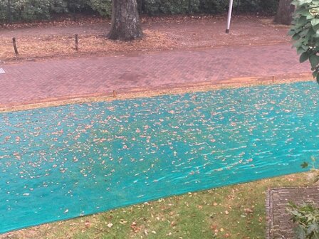 Herfstnet Budget 6,00x50 m