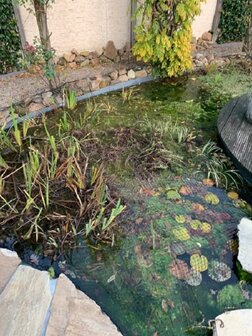 Knooploos bladernet 4x25m maas 15x15mm 