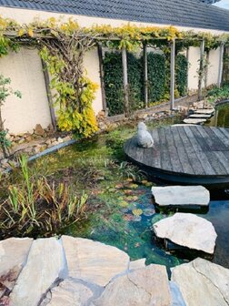 Knooploos bladernet 4x25m maas 15x15mm 