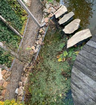 Knooploos bladernet 4x25m maas 15x15mm 