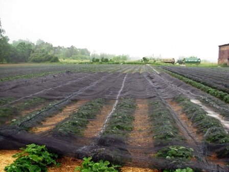 Knooploos bladernet 14x100m maas 5x7mm 