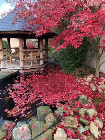 Knooploos bladernet 10x50m maas 15x15mm 